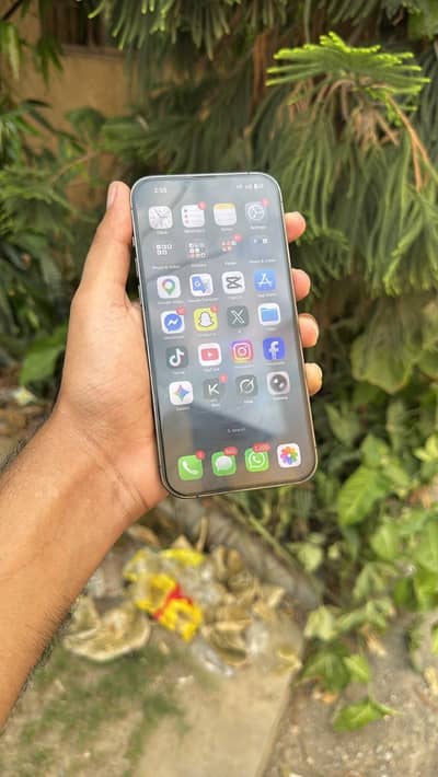 Apple iPhone 13 Pro Max lush condition 10/10
