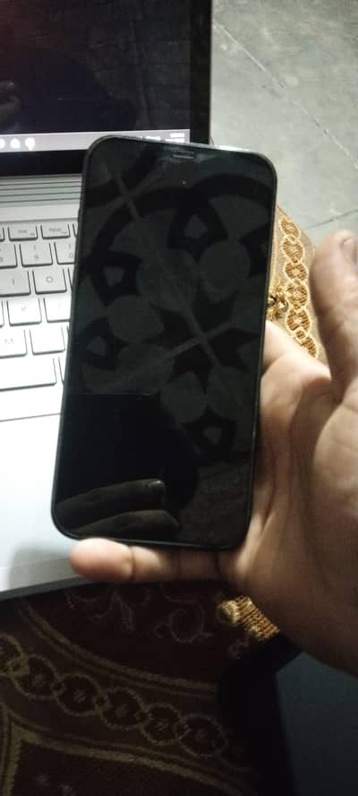 Apple iPhone 12 Pro Max