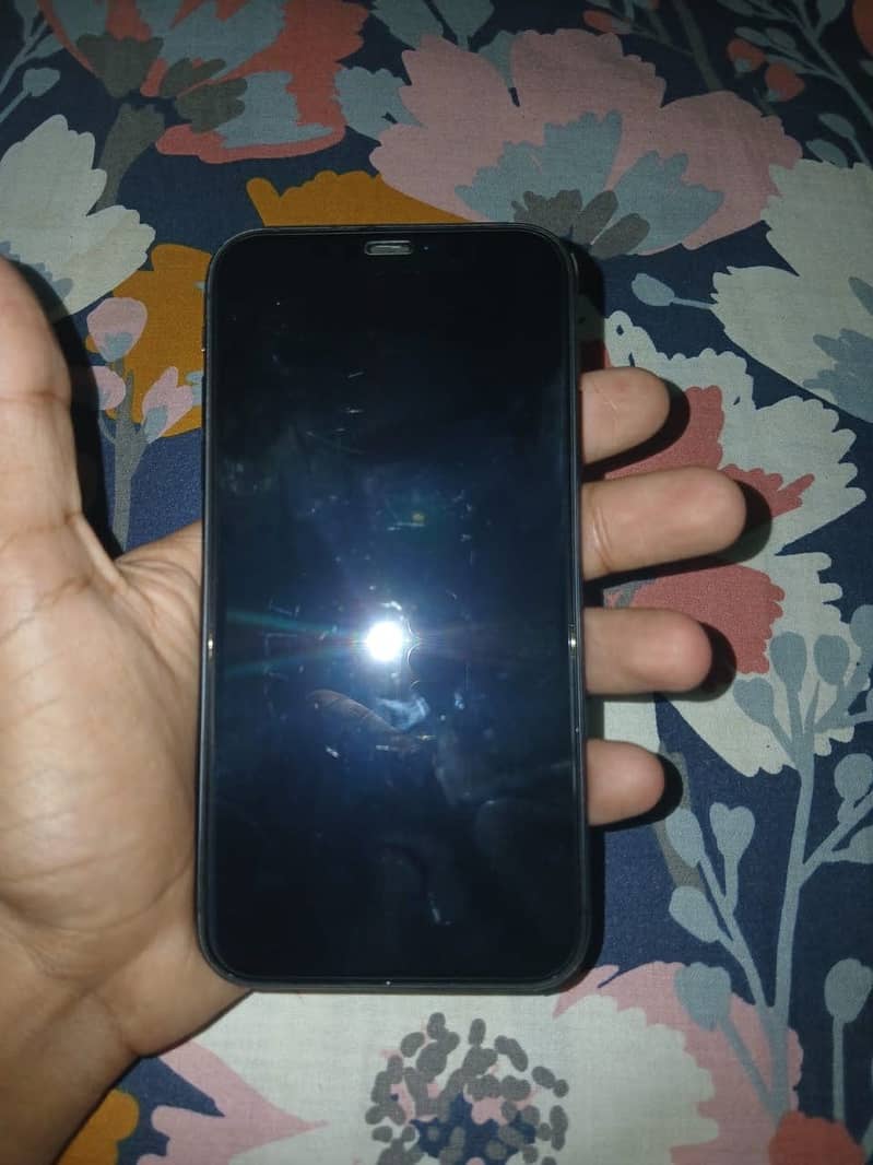 Apple iPhone 11 1