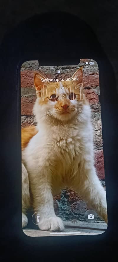 Apple iPhone 12 128 GB