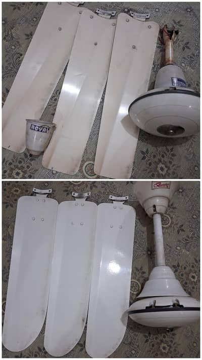 Ceiling Fans for Sale