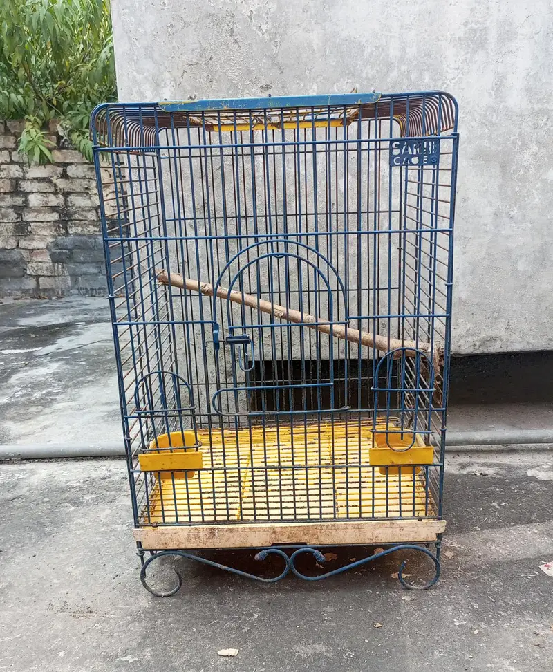 Parrot stand, Parrot cage for sale — photo 4
