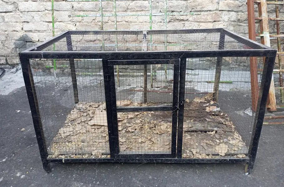 Parrot stand, Parrot cage for sale — photo 5