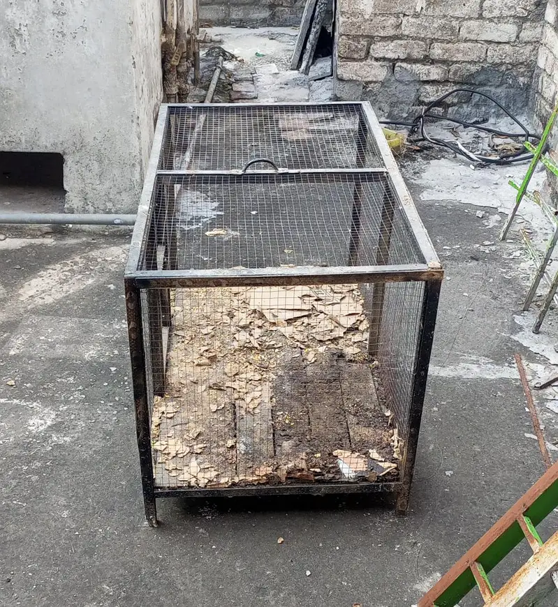 Parrot stand, Parrot cage for sale — photo 6