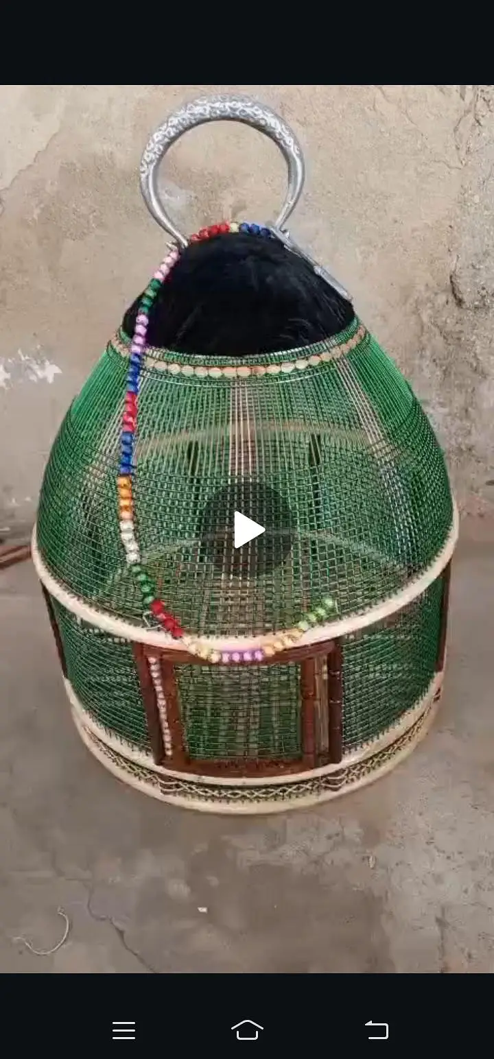 cage titer very good cage and good rate other animal — photo 4