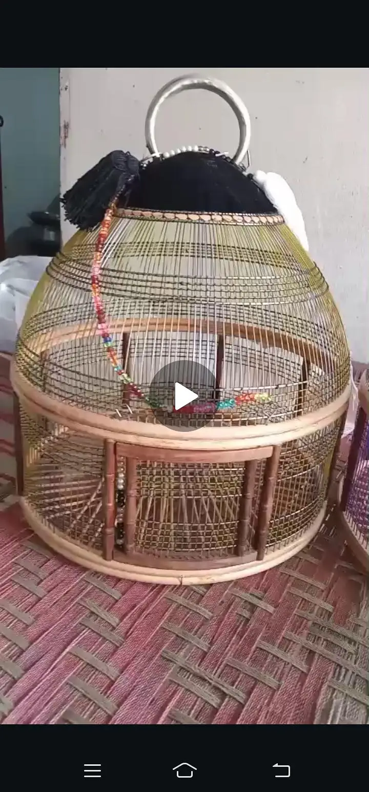 cage titer very good cage and good rate other animal — photo 7