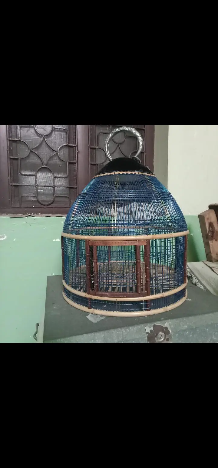 cage titer very good cage and good rate other animal — photo 10