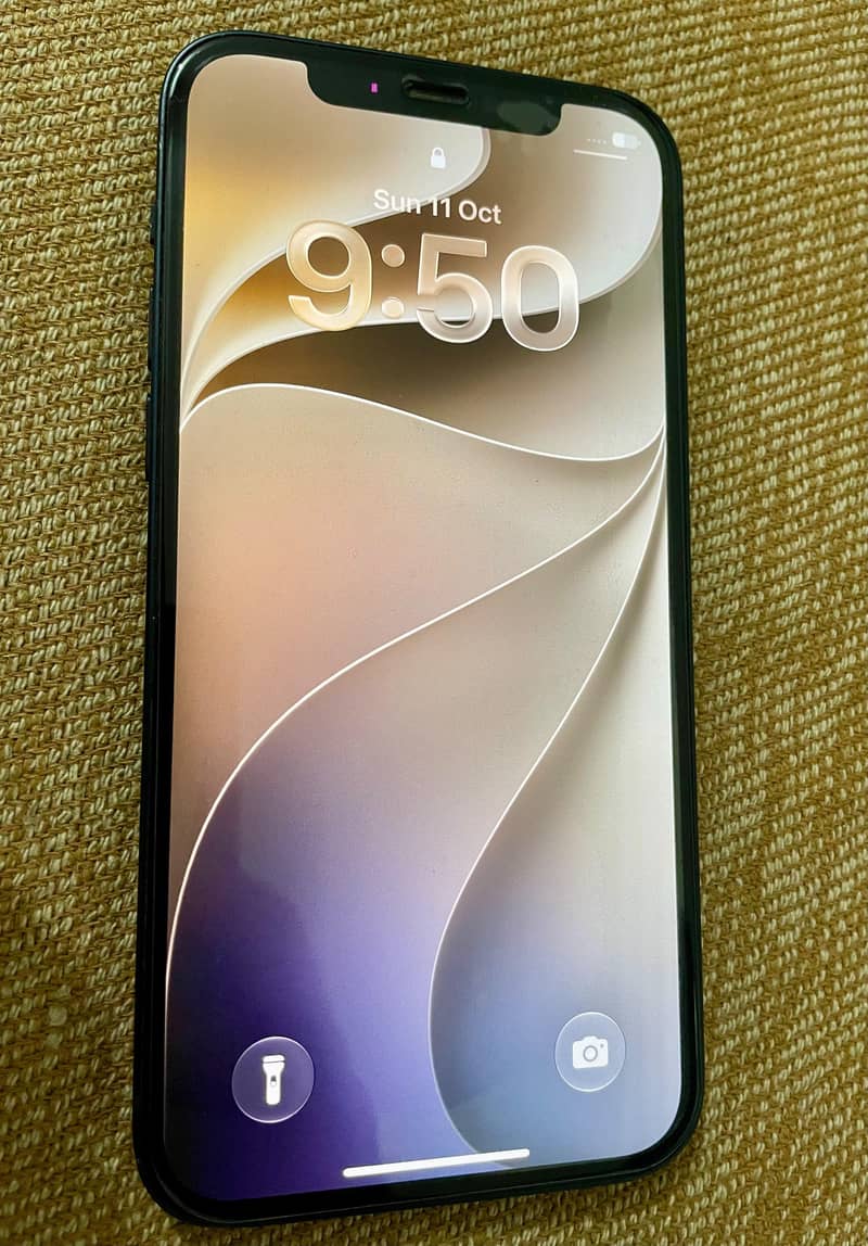 Apple iPhone 12 1