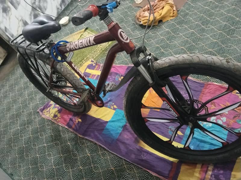 bycycle phoenix 0