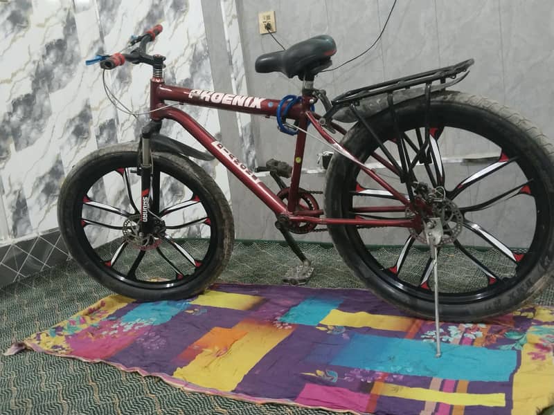 bycycle phoenix 1