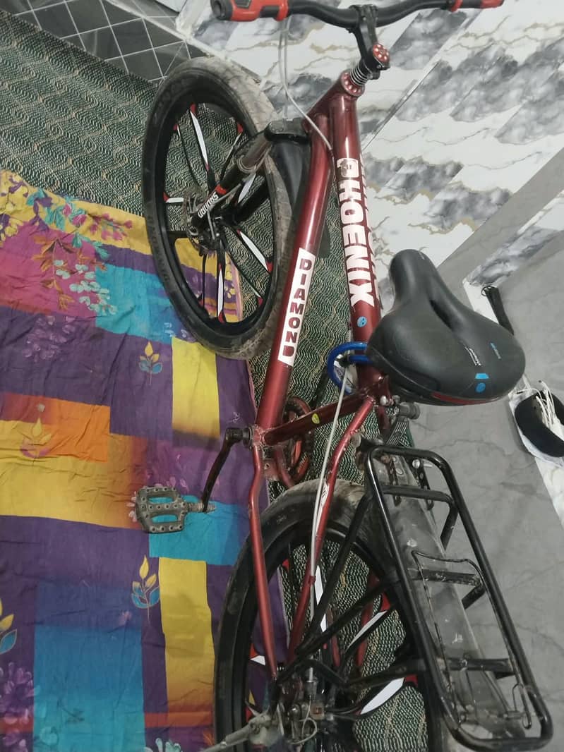 bycycle phoenix 5