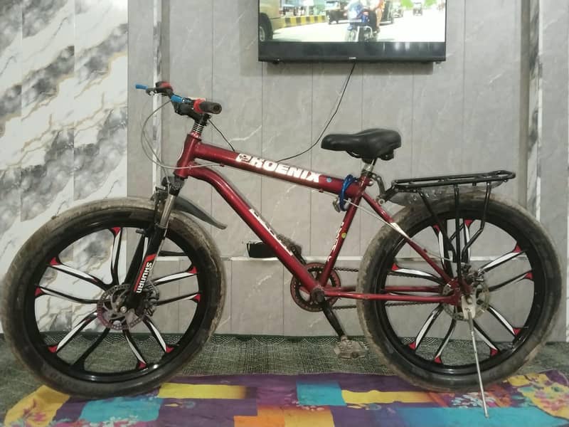 bycycle phoenix 6