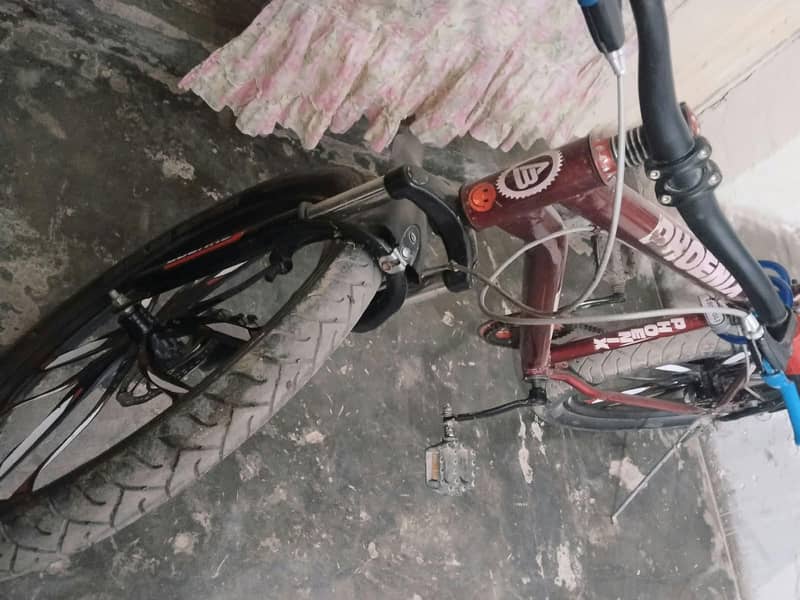 bycycle phoenix 8