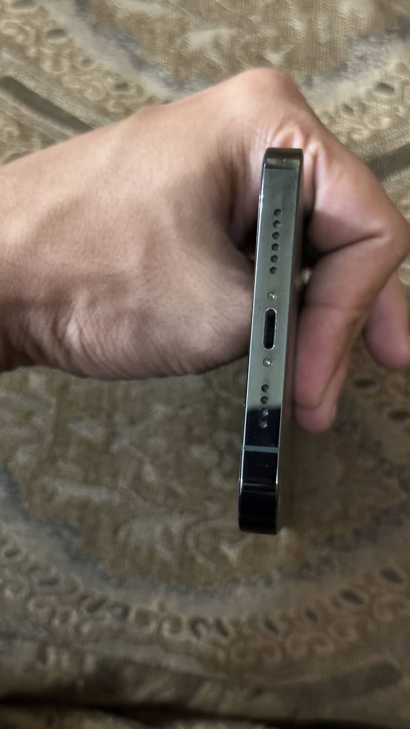 Apple iPhone 13 Pro Max 1