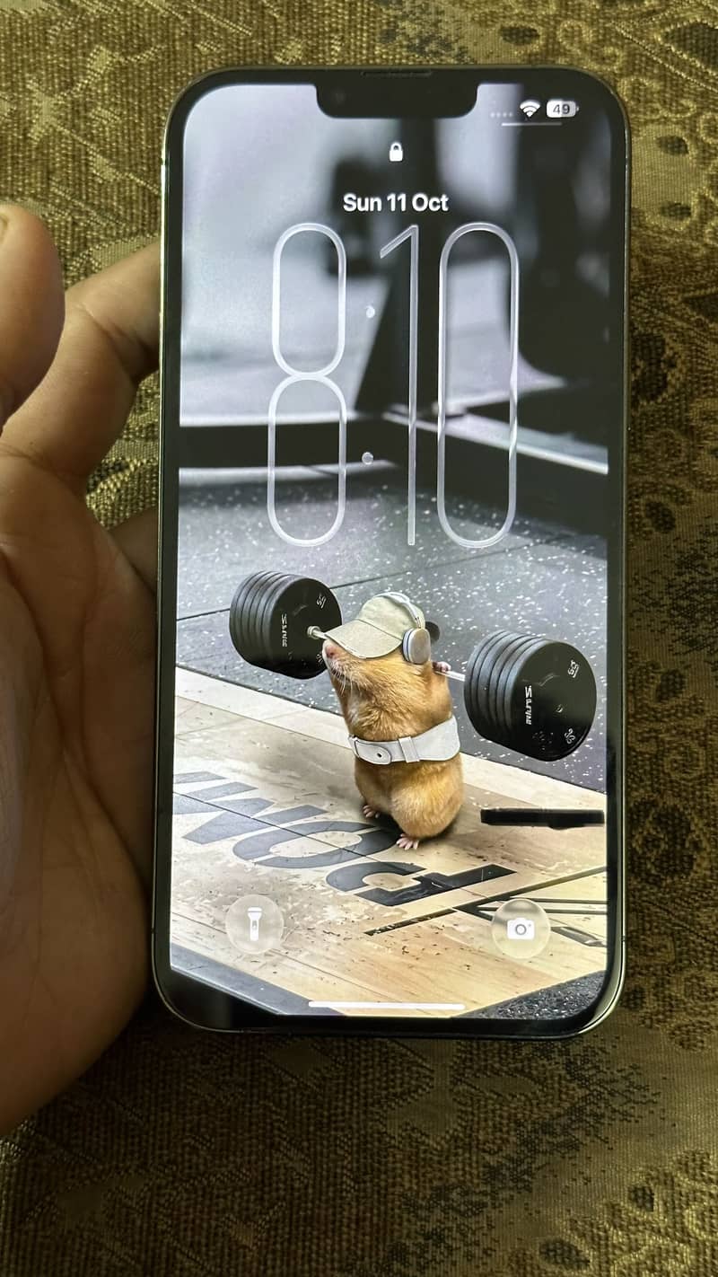 Apple iPhone 13 Pro Max 4