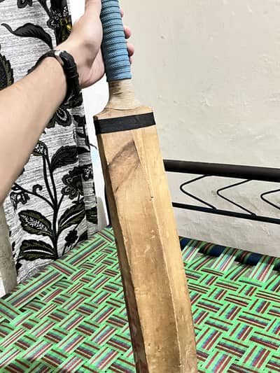 English willow cricket Bat