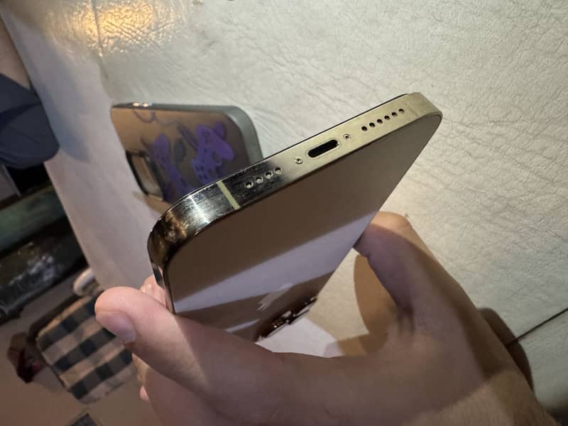 Apple iPhone 13 Pro Max 1