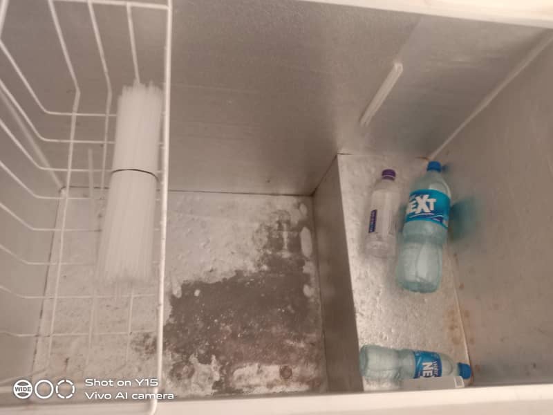 Freezer 1