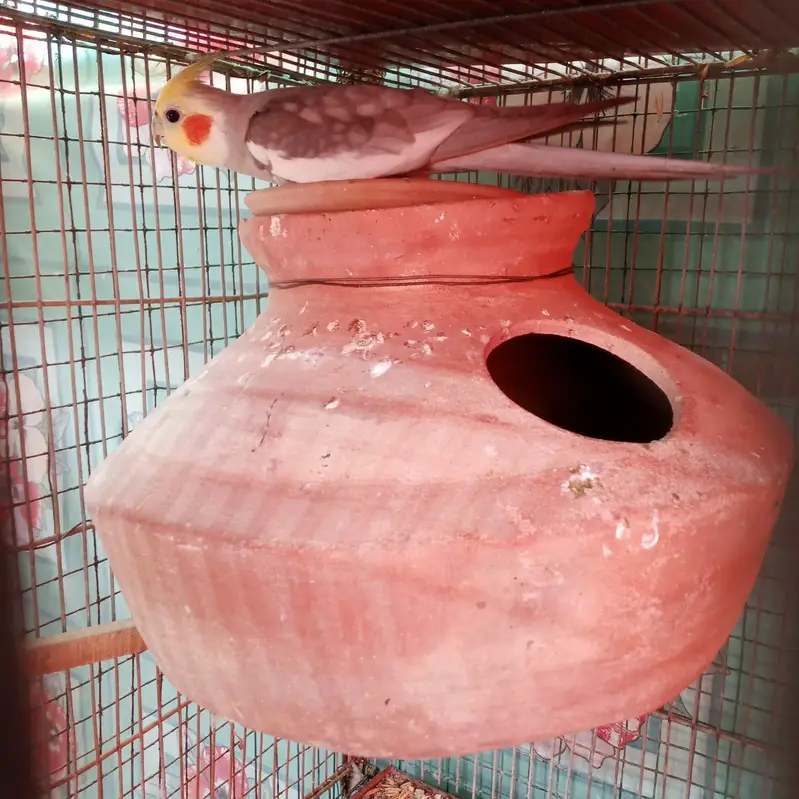 I am selling my cocktail pairs — photo 7