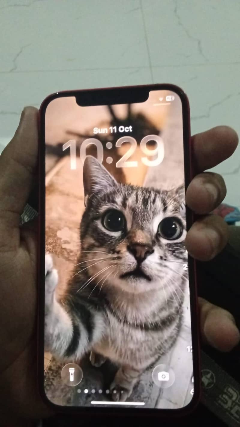 Apple iPhone 12 2