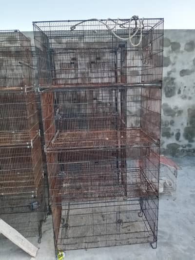 Birds cages
