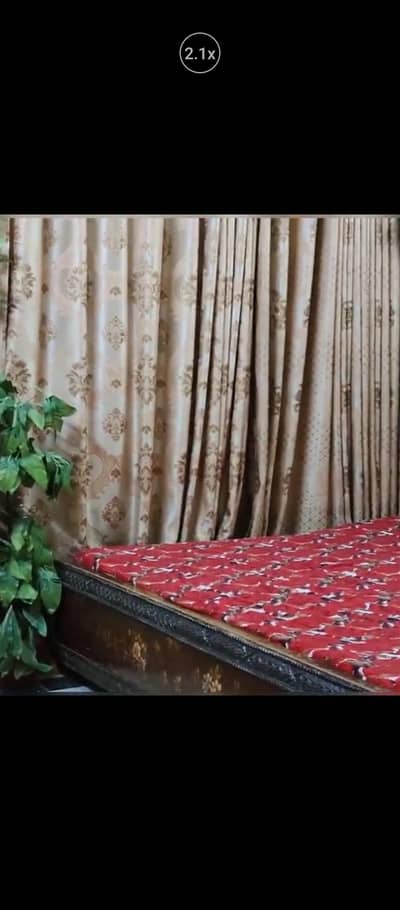 Curtain