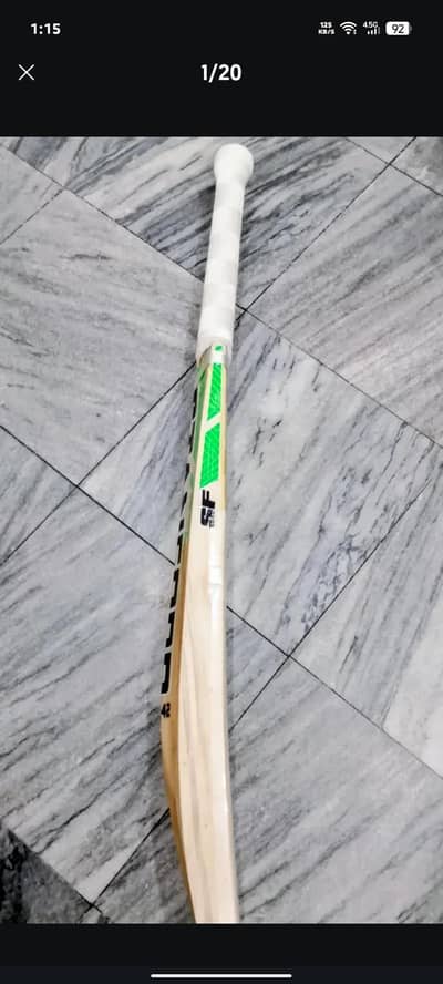 Kashmir willow bat with cover