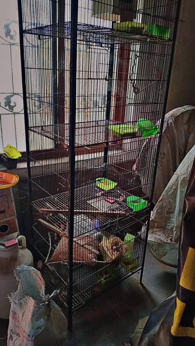 parrot cage /cage /4 portion cage /lovebird
