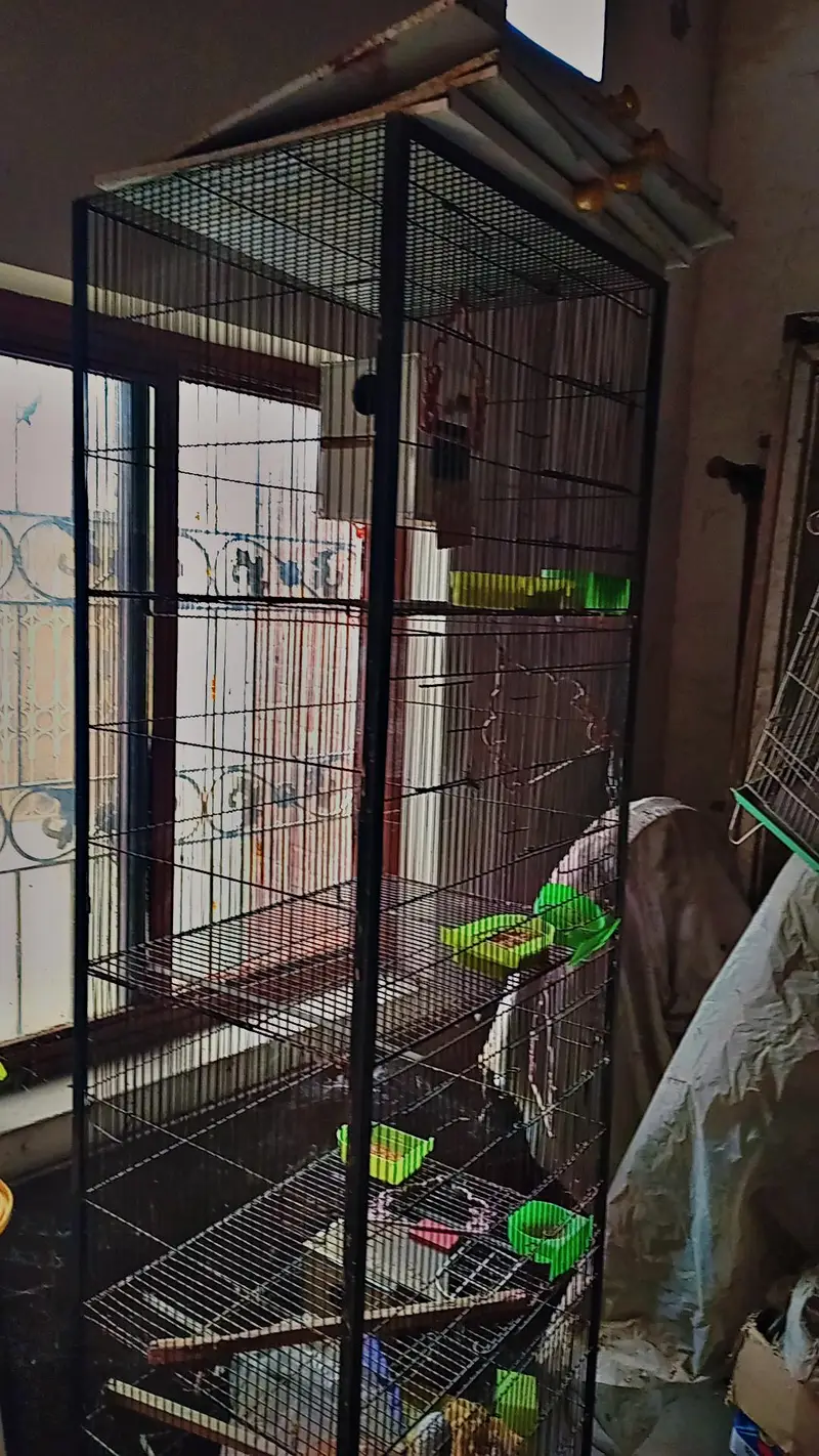 parrot cage /cage /4 portion cage /lovebird — photo 2
