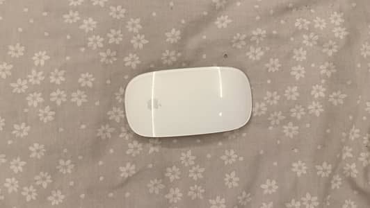 Apple magic 2 mouse