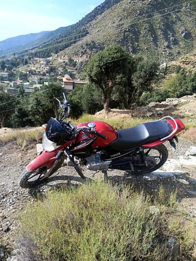 ybr 125