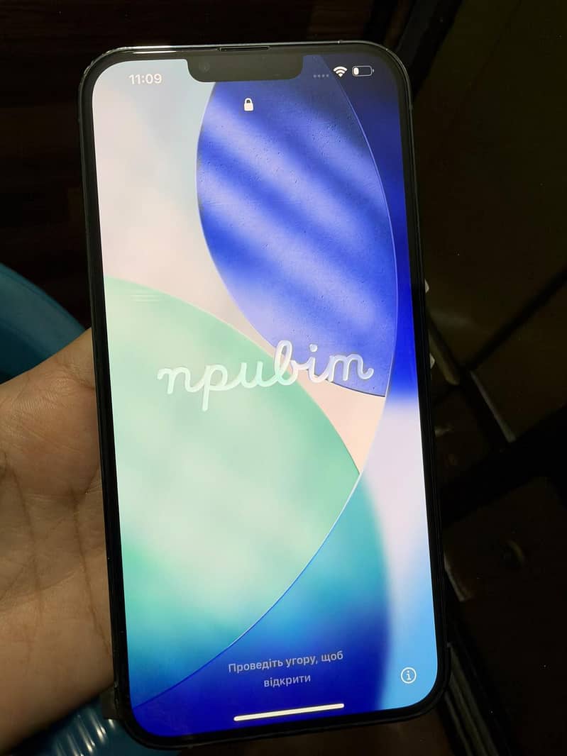 Apple iPhone 13 Pro Max 6