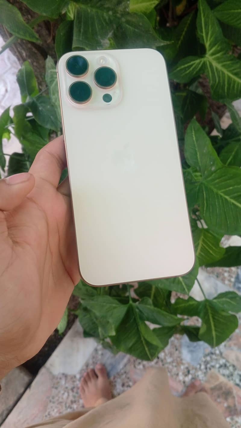 Apple iPhone 16 Pro Max 0