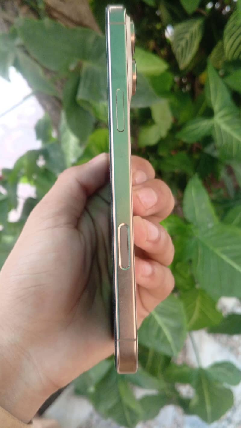Apple iPhone 16 Pro Max 6