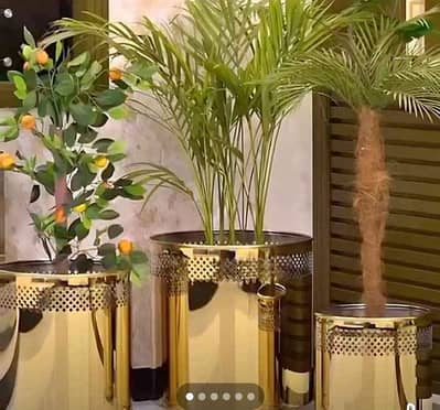 Steel and Gold planters. &kiyari