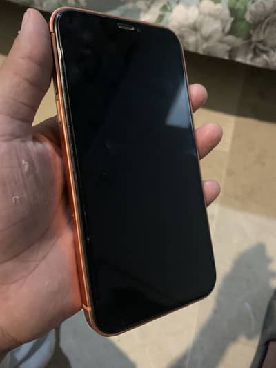 Apple iPhone XR 17 pro