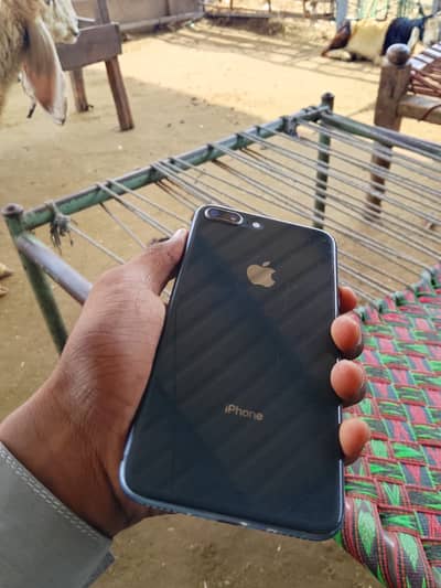 Apple iPhone 8 Plus exchange posible direct call 03023374048