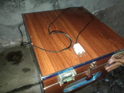 Hen egg box bikul new ha