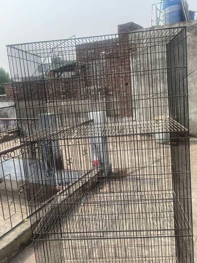 Bird Cage 4 Portions