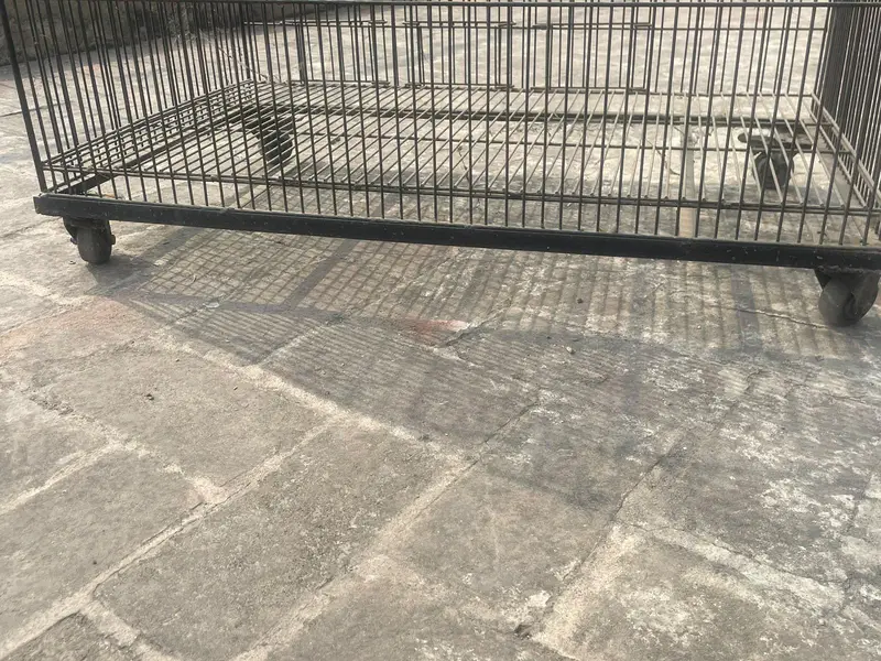 Bird Cage 4 Portions — photo 2