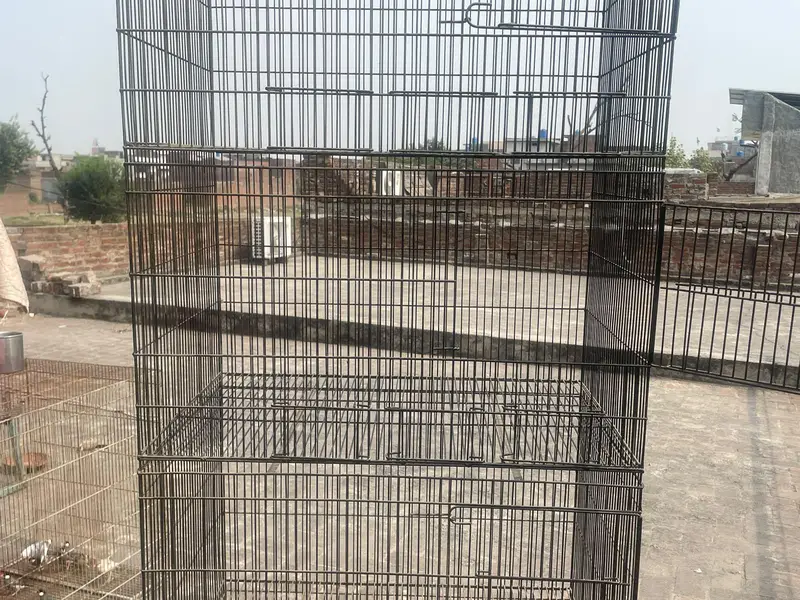 Bird Cage 4 Portions — photo 3