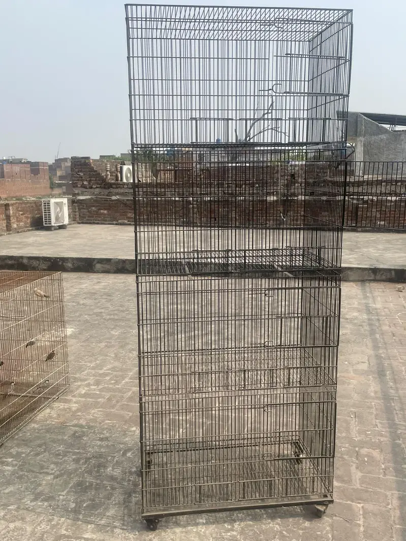 Bird Cage 4 Portions — photo 4