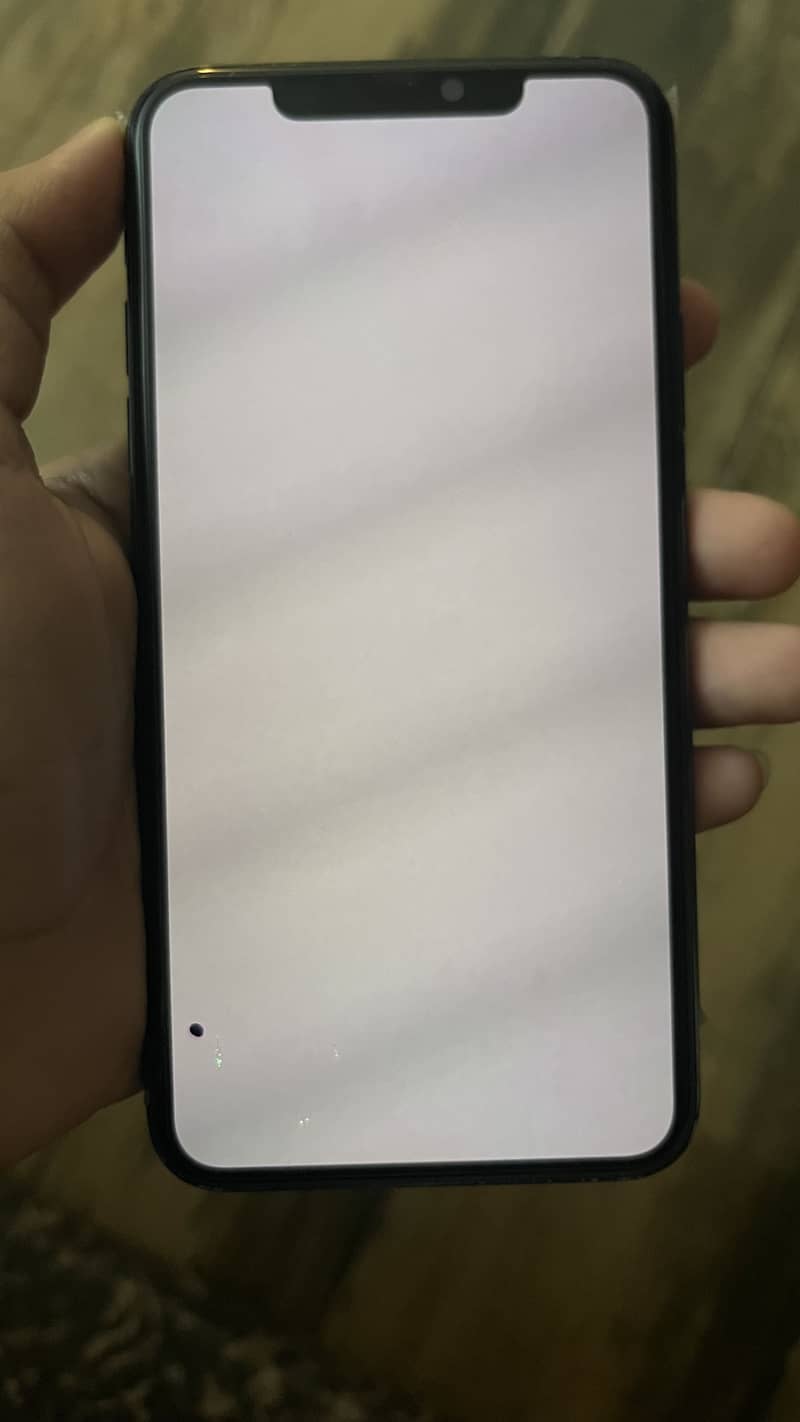 Apple iPhone 11 Pro Max 0