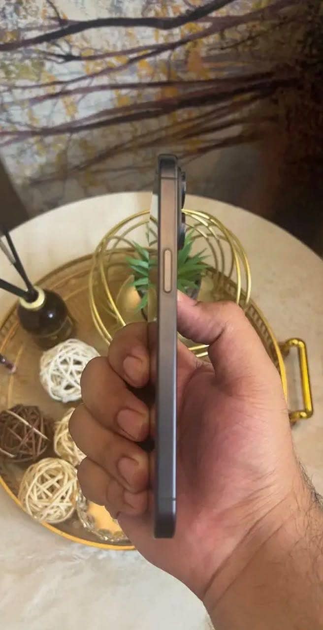 Apple iPhone 15 Pro Max 4