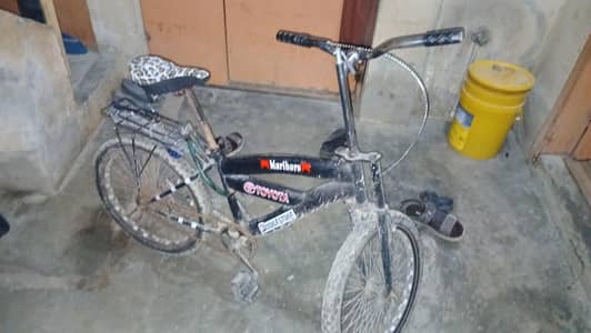 morgan cycle