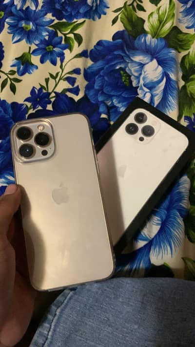 Apple iPhone 13 Pro Max