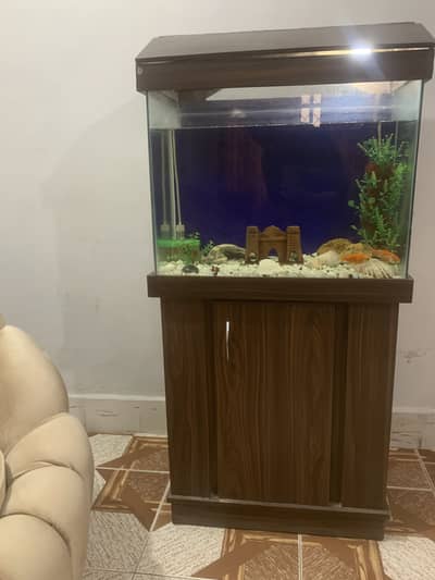 Fish aquarium with 2 fishes