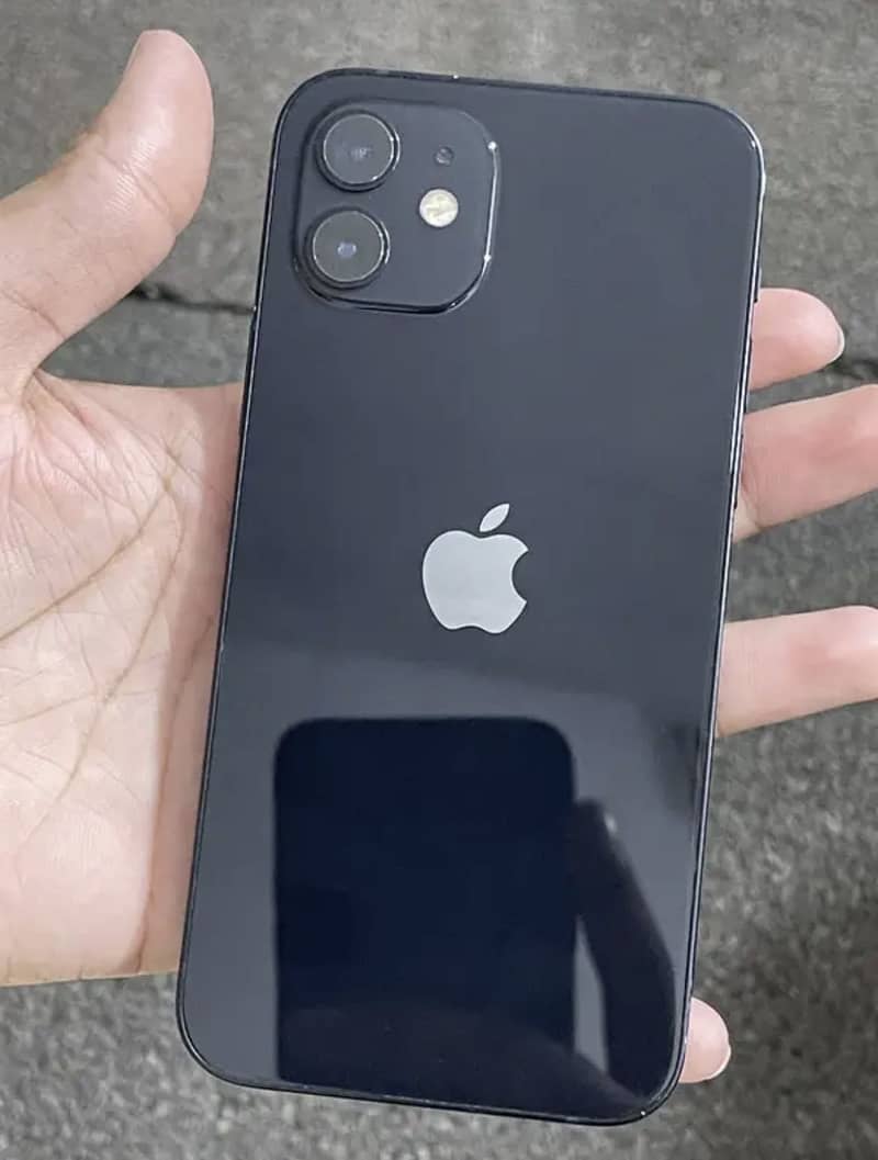 Apple iPhone 12 1