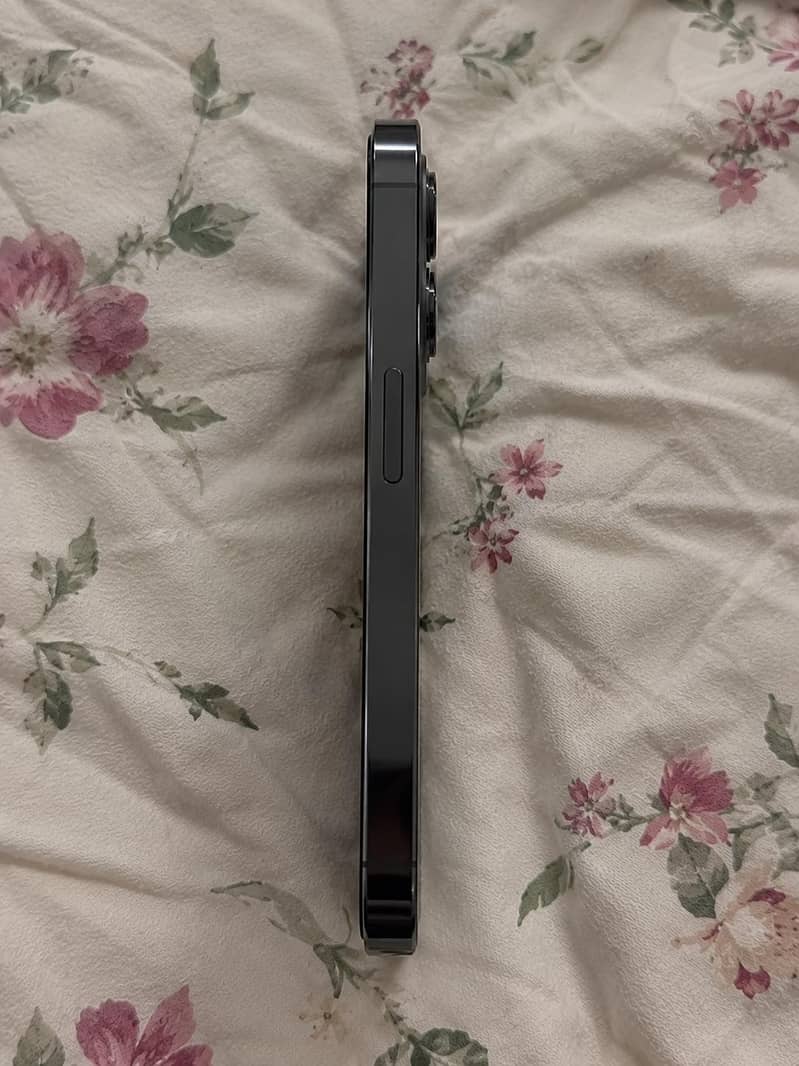 Apple iPhone 13 Pro 2
