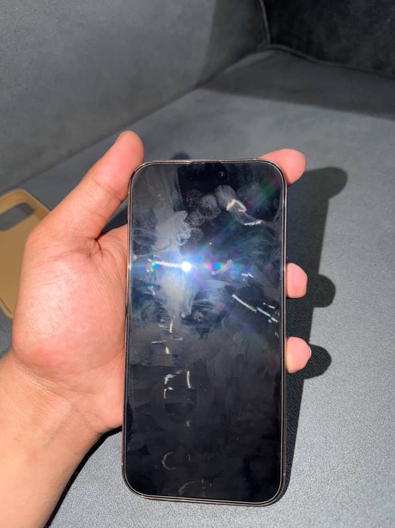 Apple iPhone 16 Pro Max 1